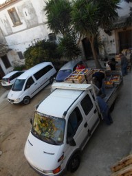 TN_SAM_5008_penultimo sforzo.JPG